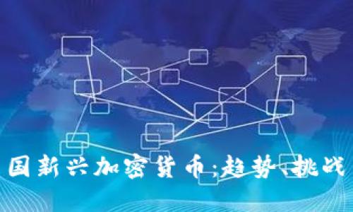 探索中国新兴加密货币：趋势、挑战与机遇
