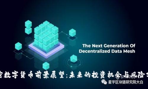 加密数字货币前景展望：未来的投资机会与风险分析